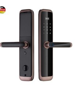 Khóa cửa vân tay Lizman LM-G060